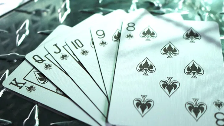 Gyrfalcon Playing Cards - image 5