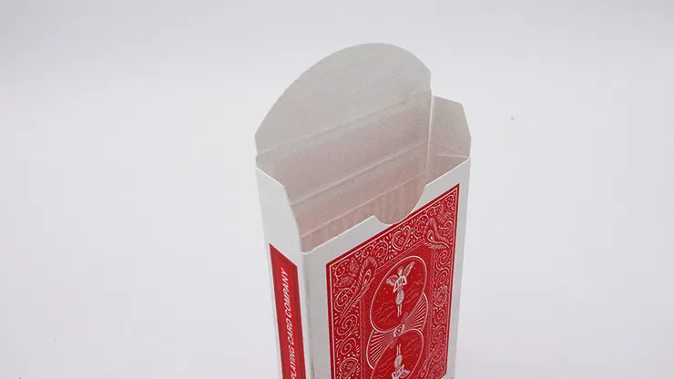 Bicycle Mandolin Box - Empty - image 3
