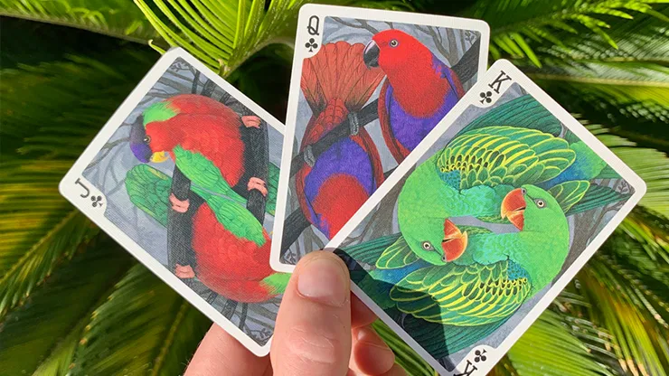 Bicycle Parrot Playing Cards - image 5