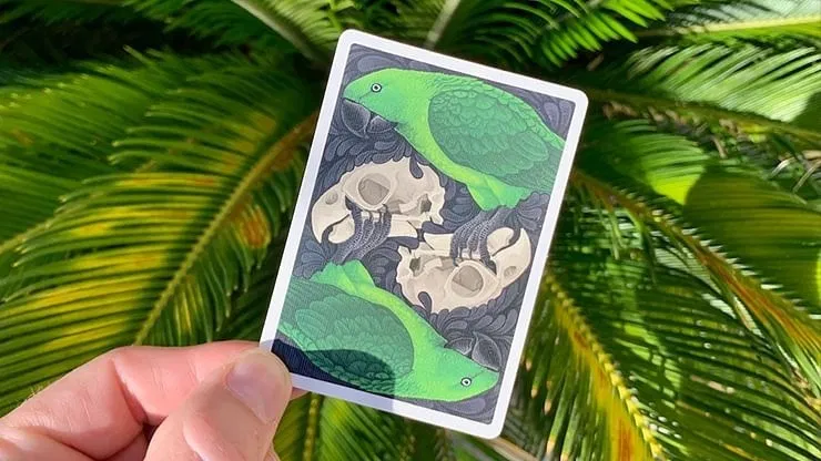 Bicycle Parrot Playing Cards - image 8