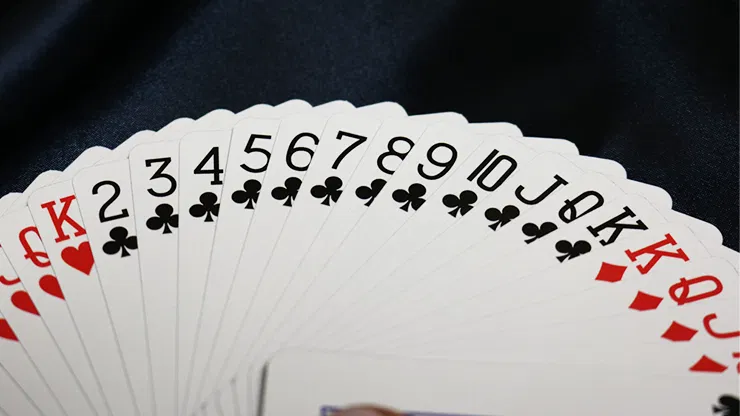 Bicycle Party Cup Playing Cards - image 4