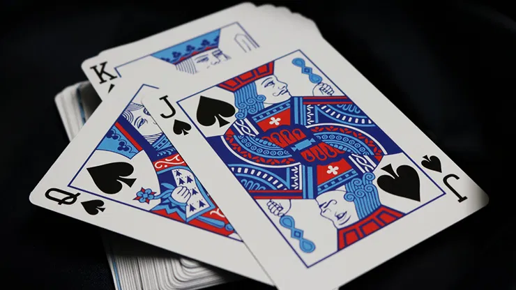 Bicycle Party Cup Playing Cards - image 5
