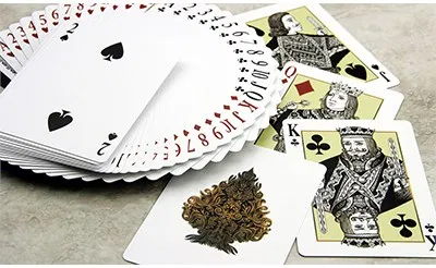 Bicycle Phenographic Playing Cards - image 5
