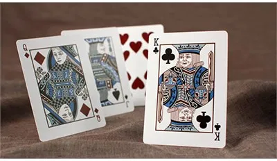 Bicycle Pluma Playing Cards - image 6