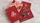 Bicycle Red Castle Playing Cards - image 3
