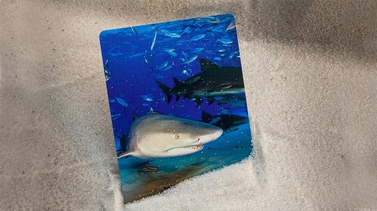 Bicycle Sharks Playing Cards - image 3