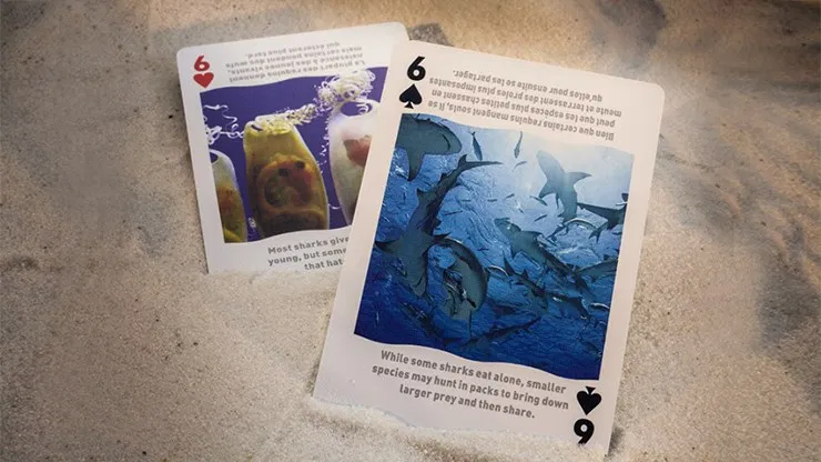 Bicycle Sharks Playing Cards - image 4
