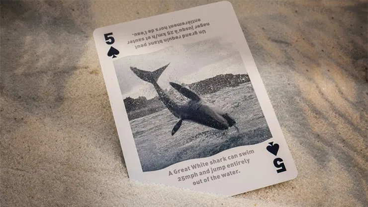 Bicycle Sharks Playing Cards - image 5