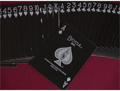 Bicycle Skull Playing Cards (Metallic Silver) - image 4