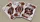 Bicycle Turtle Playing Cards - image 4