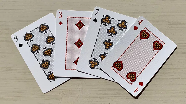 Bicycle Turtle Playing Cards - image 5
