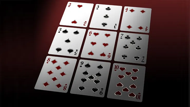 Bicycle VeniVidiVici Metallic Playing Cards - image 4