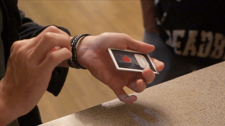 Nothing but the Truth 2.0