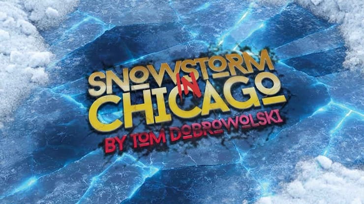 Snowstorm In Chicago
