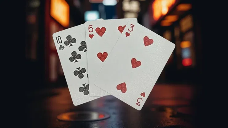 Biker Cats Playing Cards - image 2