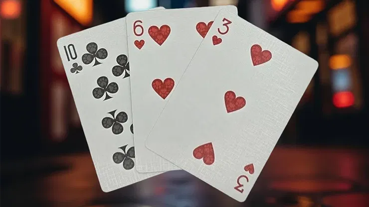 Biker Dogs Playing Cards - image 5