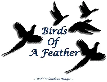 Birds Of A Feather