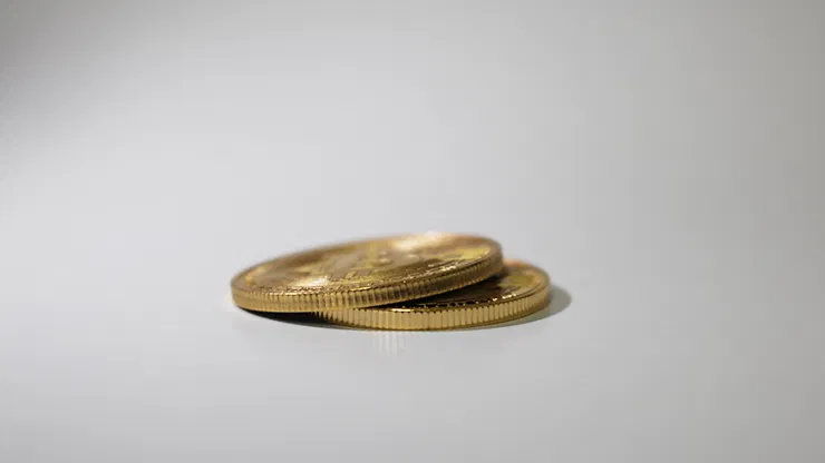 Bit Coin Shell - image 3