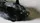 Black Fox Spring Animal - image 2