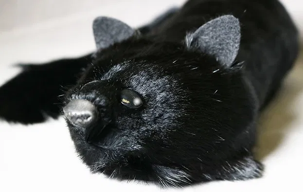 Black Fox Spring Animal - image 3