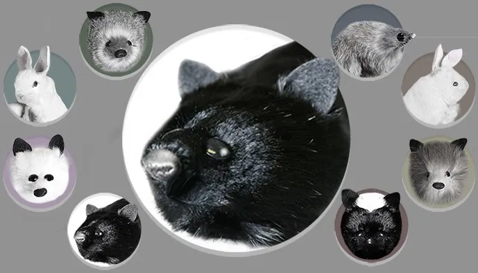 Black Fox Spring Animal - image 1