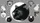 Black Fox Spring Animal - image 1