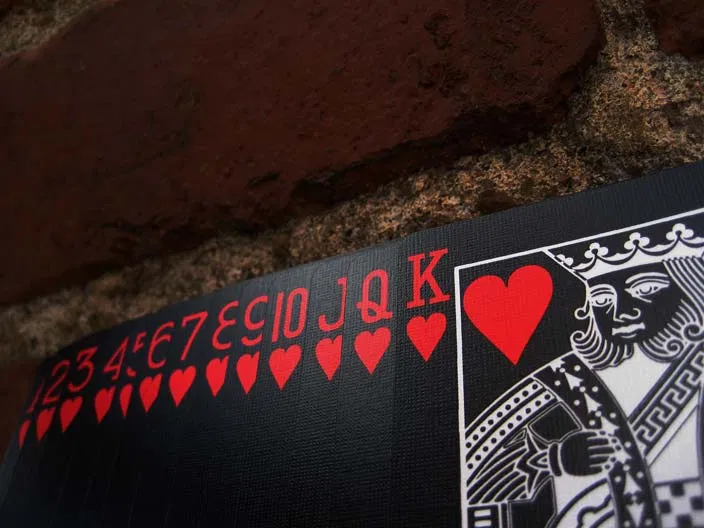 Black Tiger Deck (Red Pips) - image 7