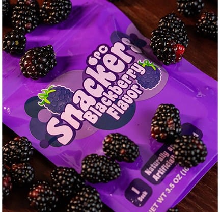 Snackers Blackberry Playing Cards - image 1