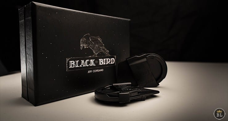 Blackbird - thumbnail 2