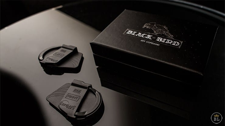 Blackbird - thumbnail 5