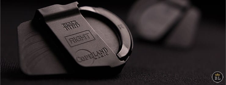 Blackbird - thumbnail 6