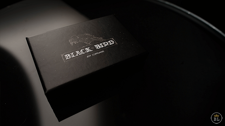 Blackbird - magic