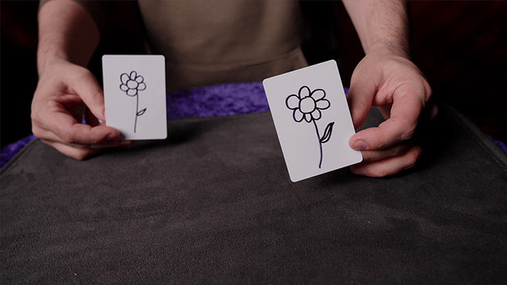 Blank Vision - thumbnail 2
