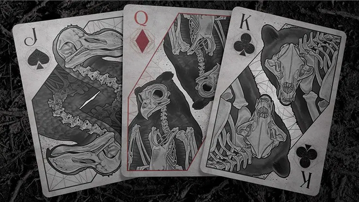 Bones Dust Playing Cards - image 3