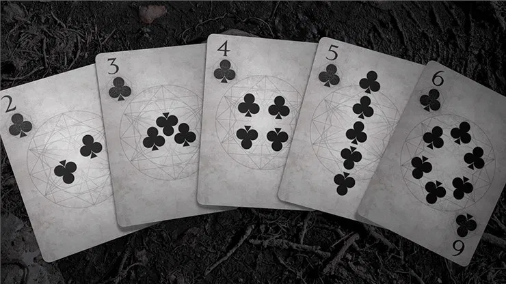 Bones Dust Playing Cards - image 6