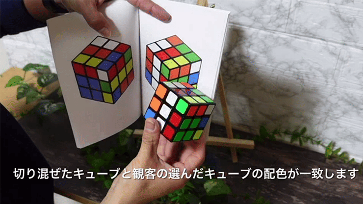 Book Cube Change (w/ Book) - thumbnail 3