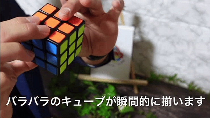 Book Cube Change (w/ Book) - thumbnail 4