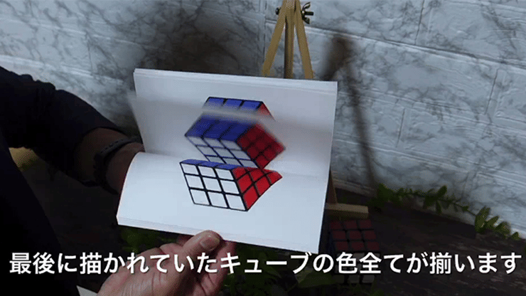 Book Cube Change (w/ Book) - thumbnail 5