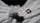 BTC Parlor Rope 325 ft. (Extra White, with core) - image 1