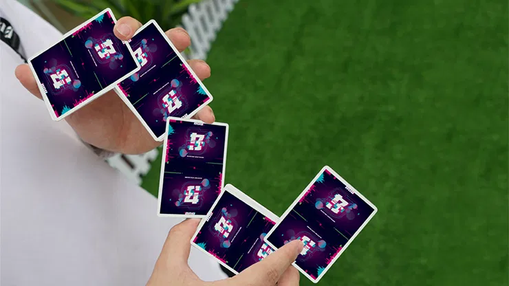 Bug Playing Cards - image 3