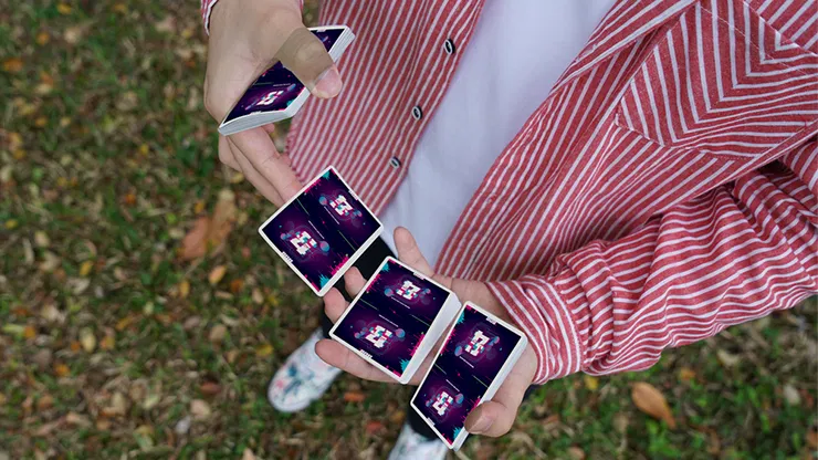 Bug Playing Cards - image 4
