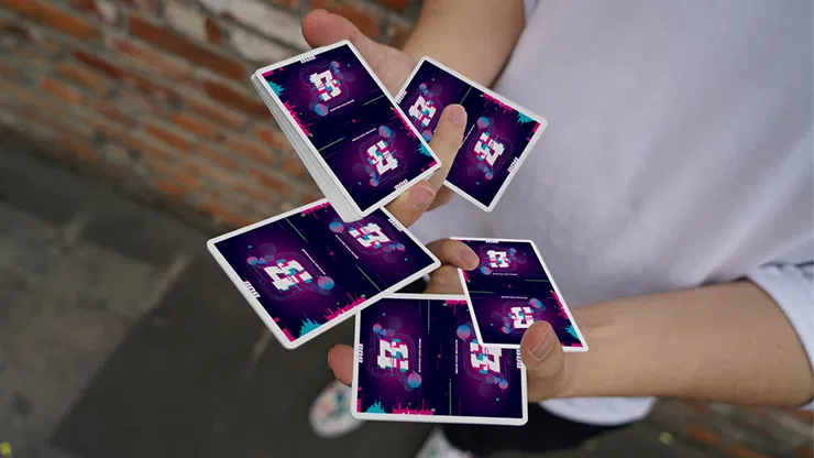 Bug Playing Cards - image 6