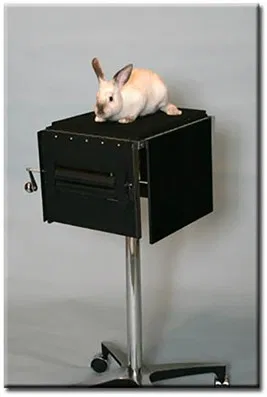 Bunny Buster - image 2