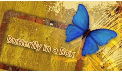 Butterfly In a Box