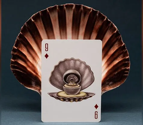 Cabinetarium Playing Cards - image 4