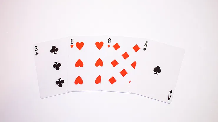 Cactus Playing Cards - image 3
