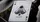 Cammeo Playing Cards - image 3