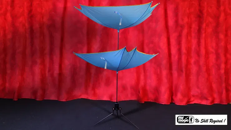 Cane to Umbrella