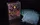 Carat DS1L Deck Sleeves - image 5