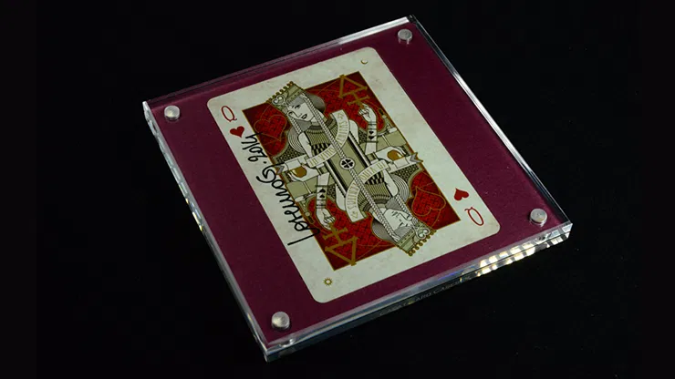 Carat XSC Single Deck Display - image 2
